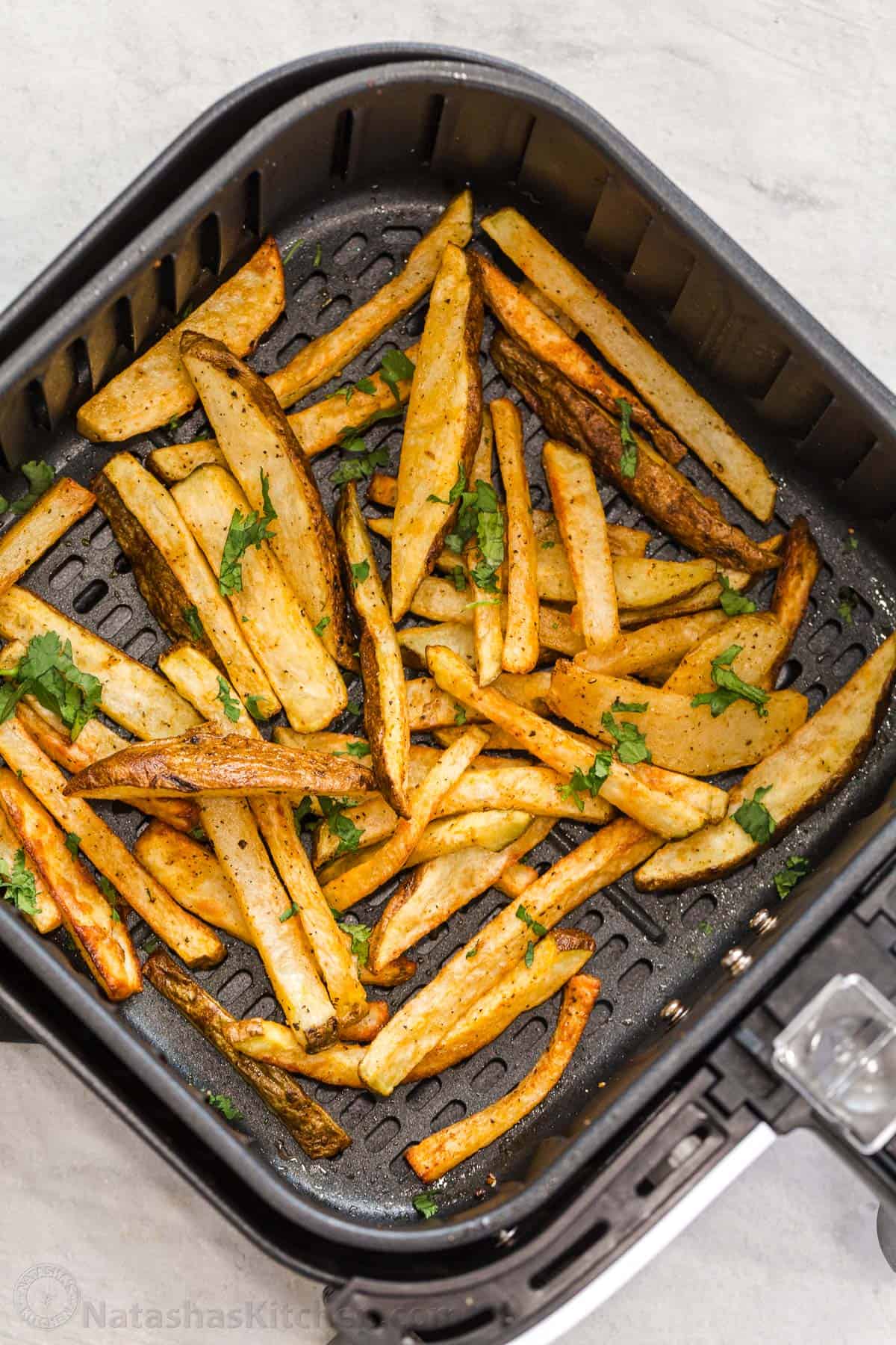 homemade French Fries in the air fryer