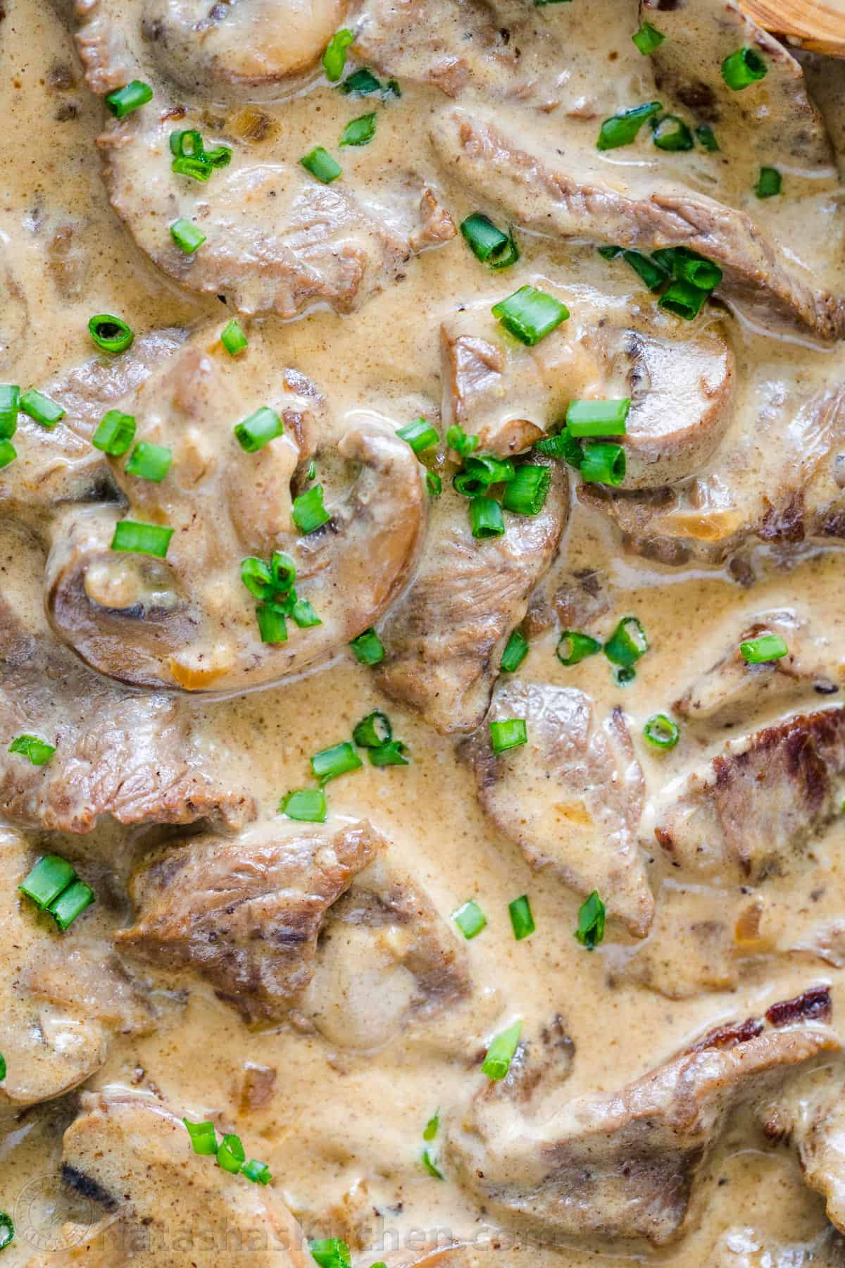 Beef and mushrooms in creamy stroganoff sauce garnished with green onion
