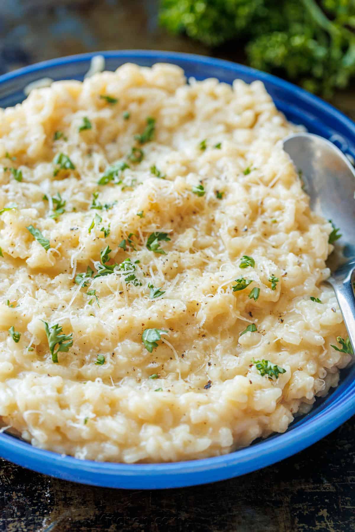 Risotto served in a blue plate 